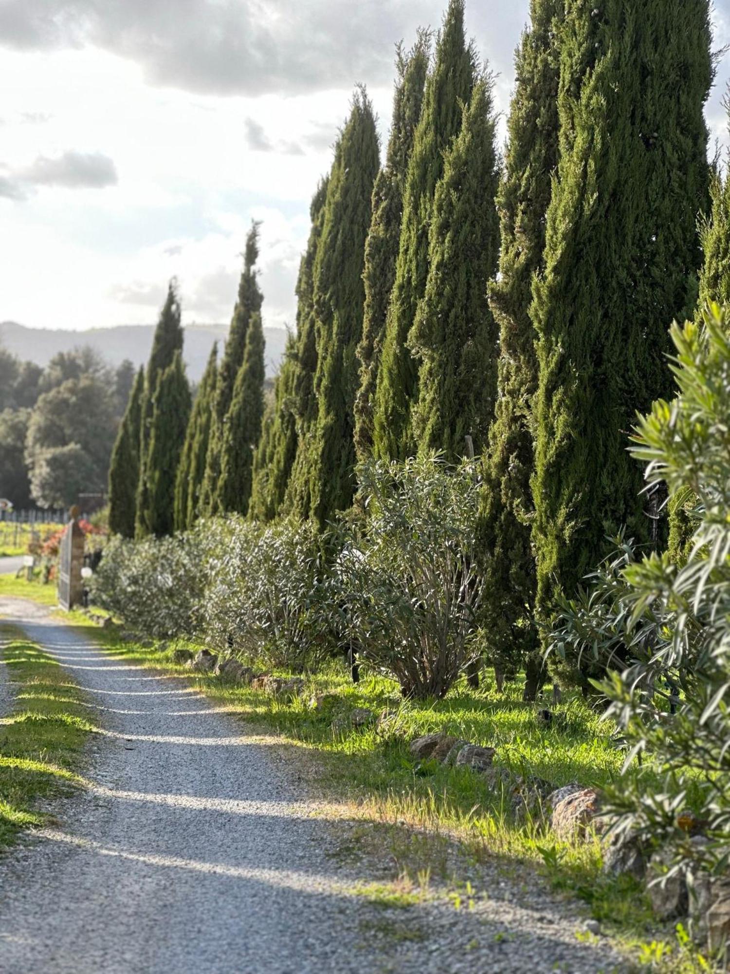 Bed and Breakfast Antico Borgo Il Cardino San Gimignano Exterior foto